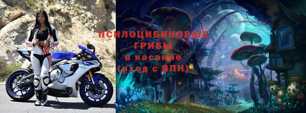 молекула духа Алексеевка