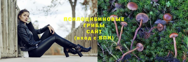 молекула духа Алексеевка