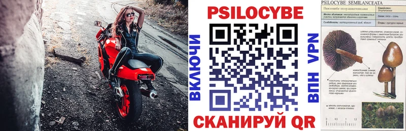 MEGA зеркало  Сенгилей  Галлюциногенные грибы прущие грибы 